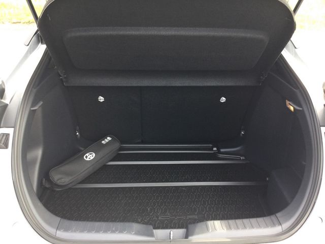 C-HR 2.0 Hybrid FWD Team Deutschland NAVI ACC
