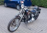 Harley-Davidson Softail Springer - Angebote