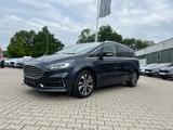Ford S-MAX 2.0 EcoBlue Titanium *LED Navi AHK ACC* - gebrauchte Ford S-Max aus dem Jahr 2020