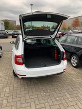 Skoda Octavia 2.0 TSI DSG 4x4 Style Combi Style - Skoda Octavia mit Benzin-Antrieb: Allradantrieb, Kombi, 2.0