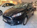 Ford Fiesta 1.5 TDCi 75CV 5 porte Titanium - Ford Fiesta: Tdci Titanium