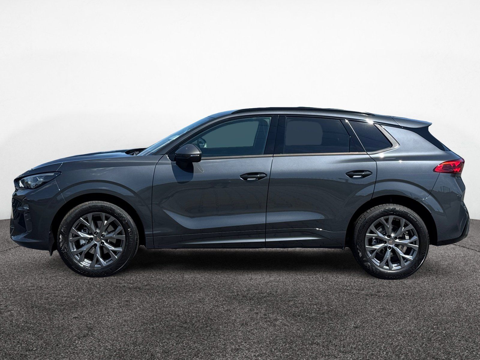 Cupra Terramar - Bild 4