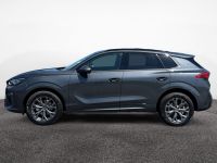 Cupra Terramar - Vorschau Bild 4