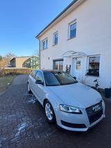 Audi A3 2.0 TFSI quattro S tronic Xenon Tempomat  - Audi A3 aus 2010: 2.0