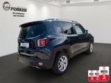 Jeep Renegade 2.0 MultiJet 103kW D Limited 4x4 - Jeep Renegade: 1.0