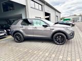 Land Rover Discovery Sport 2.0 TD4 HSE Navi+/Panorama/Leder - Land Rover Discovery in Köln