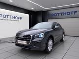 Audi Q2 30 TFSI MATRIX KAMERA SITZHZG PDC - Audi Q2 in Hamm