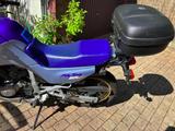 Honda Transalp PD 06 - HONDA TRANSALP PD06