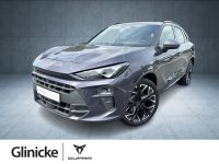 Cupra Terramar - Vorschau Bild 1