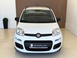 Fiat Panda 1.2 KLIMA/SERVO/ZV/GARANTIE/TÜV 03.27 - Fiat Panda: 1.1