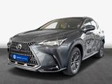 Lexus NX350h 4x4 Executive Alle Extras Modeljahr 26 - graue Lexus NX 350h