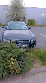 Audi Allroad A4 2.0 TDI 170 ps - Audi A4: TDI 170 Ps