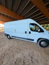 Fiat Transporter 2.3 Diesel ohne Adblue Un... - Fiat: Transporter