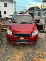 Chevrolet Aveo 1.2 LS LS - rote Chevrolet Aveo