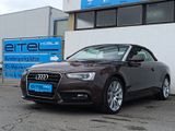 Audi A5 Cabrio 3.0 TDI Alcantara Xenon Navi PDC - Audi A5 aus 2013
