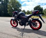 Suzuki GSX-S 125 XAL9 - Offers matching your search criteria