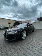Audi A8 | Sehr gepflegt | 183.000 km - Audi A8: Km0