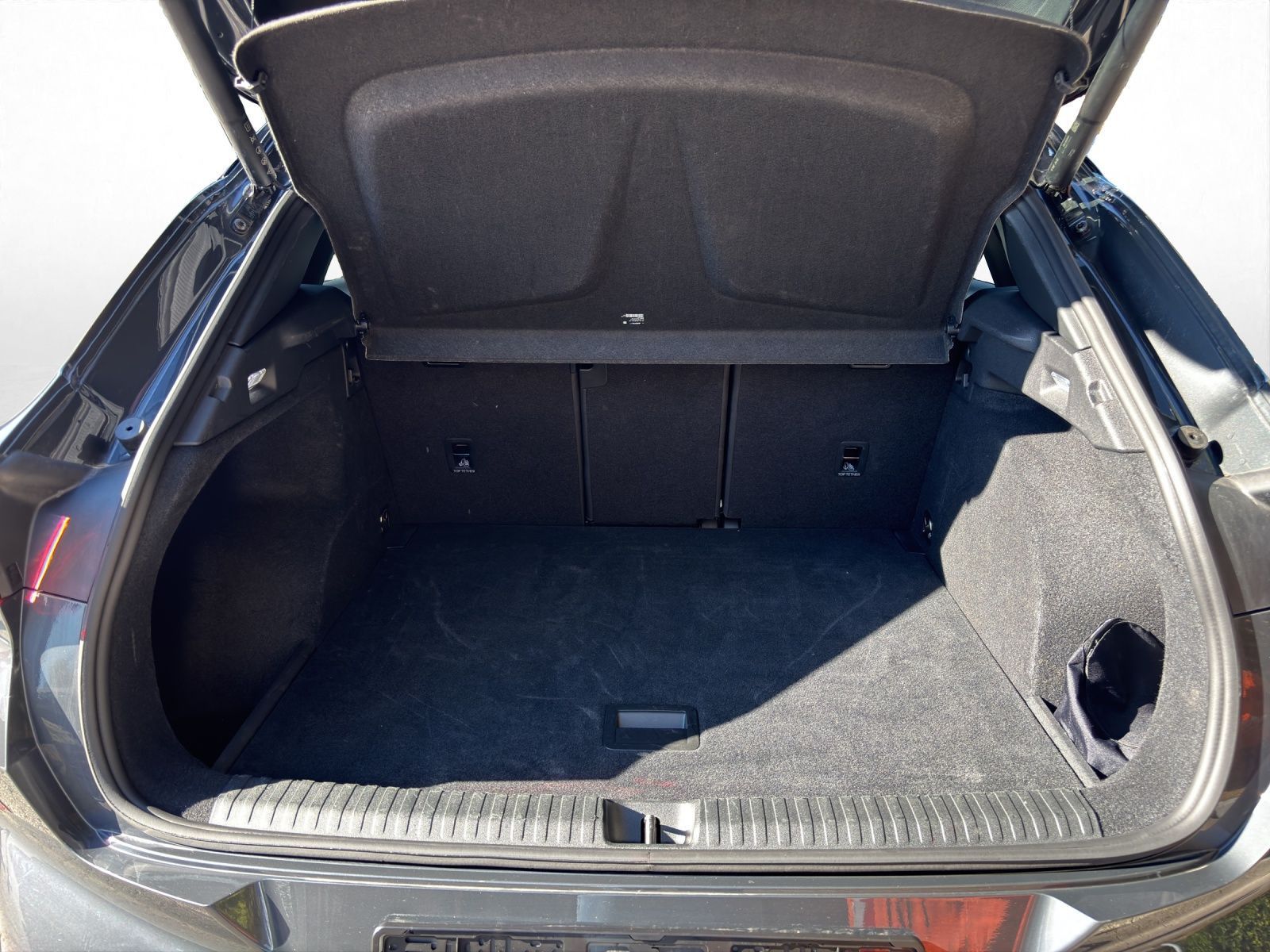 Cupra Terramar - Bild 12