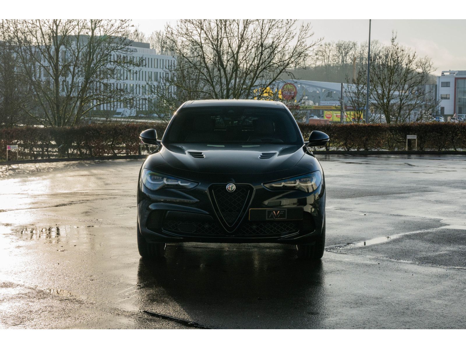 Alfa Romeo Stelvio Quadrifoglio 2.9 Bi-Turbo V6 - Toit ouv