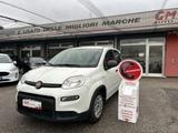 Fiat Panda 1.0 firefly hybrid s&s 70cv 5p.ti - Fiat Panda Cabrio Gebrauchtwagen