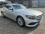 Mercedes-Benz E 220 d W213 Avantgarde LED Navi Kamera - Mercedes-Benz mit Diesel-Antrieb: W