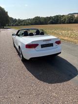 Audi A5 2.0 TDI 140kW quattro Cab. - s-line - Audi A5 mit Diesel-Antrieb: Cabrio
