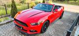 Ford Mustang 5.0 V8 Cabrio  Performance Package - Ford Mustang: Performance