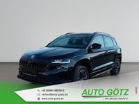 Skoda Karoq - Vorschau Bild 1