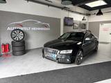 Audi A5 3.0 TDI quattro*TÜV NEU*12M.Garantie*Finanz.* - gebrauchte Audi A5 aus dem Jahr 2008