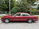 Jaguar XJ12 6.0 V12 | H-Kennzeichen  - scheckheftgepflegte Jaguar XJ12