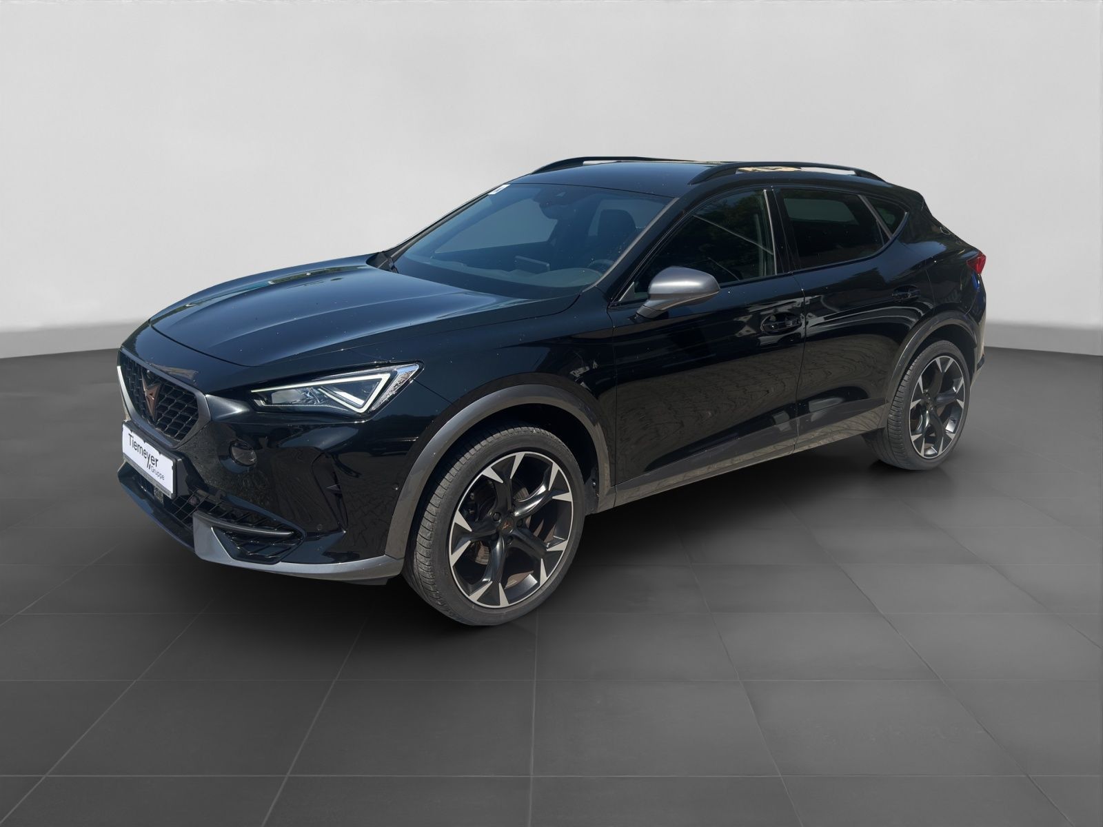 Cupra Formentor 2.0 TDI DSG NAVI ACC PARKLENK SITZHZG imagem 2