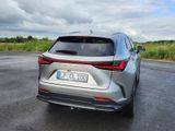 Lexus NX 450h 450h+ E-FOUR Business Line Business Line - Lexus NX 450h Gebrauchtwagen