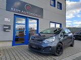 Kia Rio 1,2 Dream Team *KLIMAAUTOMATIK*AHK*LM-RÄDER* - Kia Rio mit 3 Türen