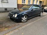 Mercedes-Benz Mercedes Clk cabrio 430 AMG  Paket ab Werk 55 - Mercedes-Benz CLK 430 von privat