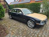 Jaguar Daimler Super Eight - - Jaguar: Super