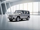 Mercedes-Benz G 500 Designo AHK Standheizung Distr. Schiebed. - silberne Mercedes-Benz G 500
