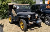 Jeep Willys Jeep CJ3A - Jeep Willys mit Diesel-Antrieb