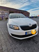 Skoda Oktavia 1.6TDI Tolles Auto - Skoda 105: Limousine