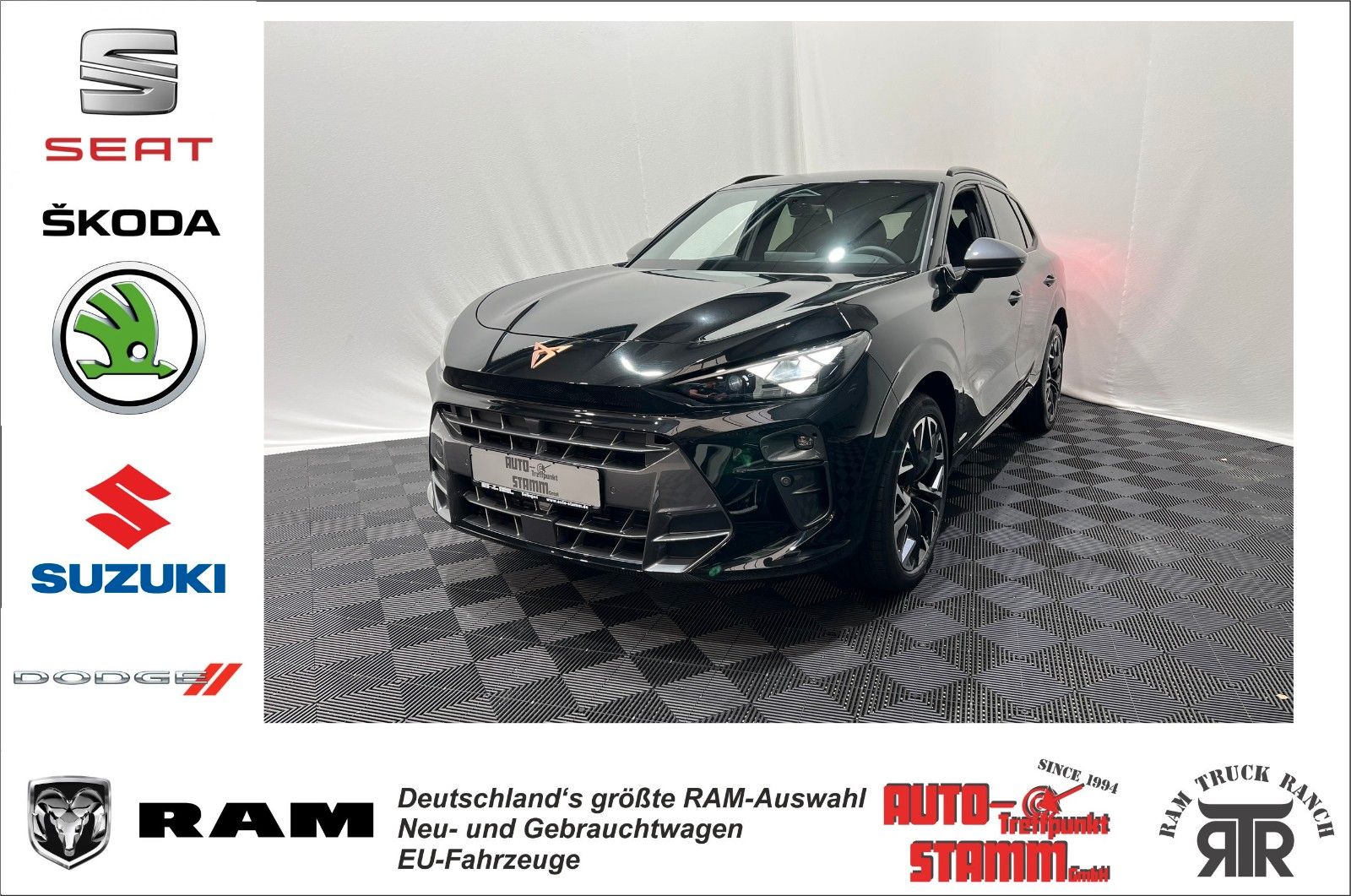 Fahrzeugabbildung CUPRA Terramar VZ 2.0 TSI 4Drive - Matrix - Sennheiser