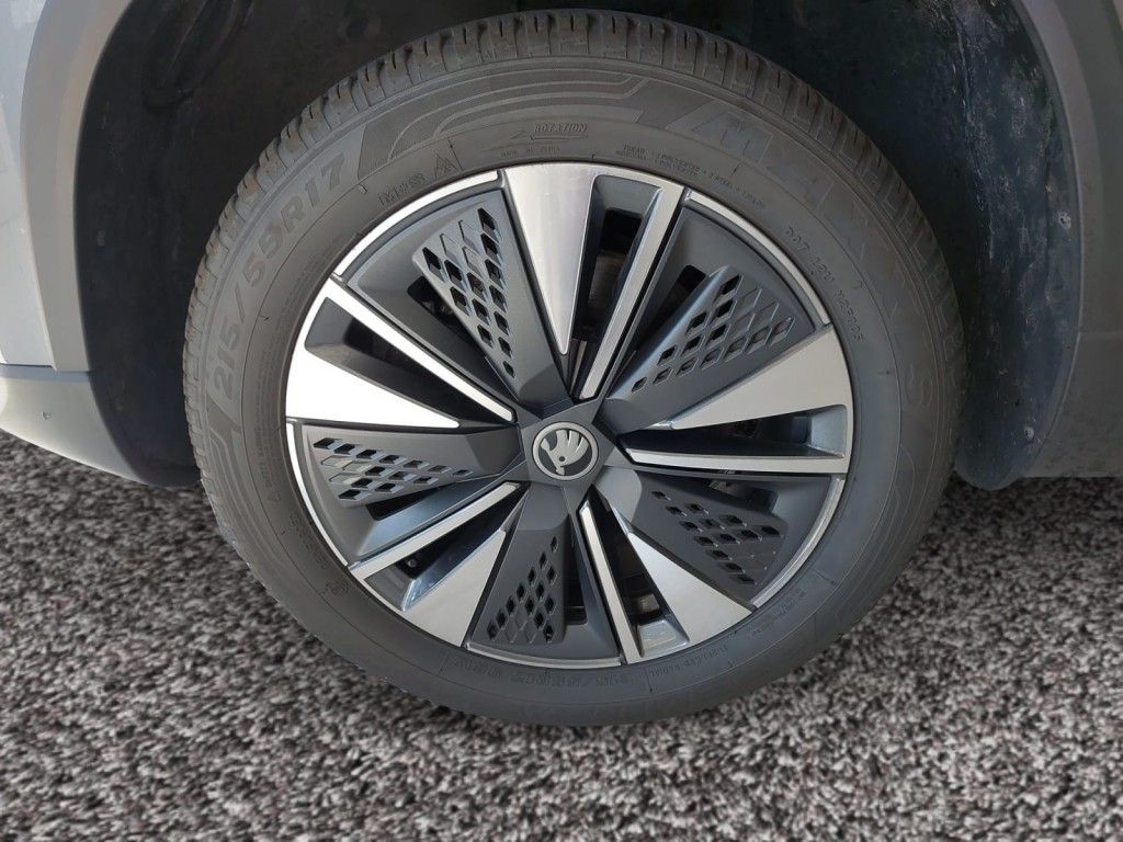 Fahrzeugabbildung SKODA Karoq 1.5 TSI DSG Tour LED Kessy