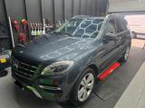 Mercedes-Benz Mercedes Benz ML 350 cdi Bluetec - Mercedes-Benz ML 350 in Dortmund