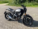 Ducati Scrambler Icon Dark 800  - Offers