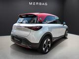 Smart #1 BRABUS 66kWh 22/150 LED+ NAV AWD WP PANO MEM  - silberne Smart #1