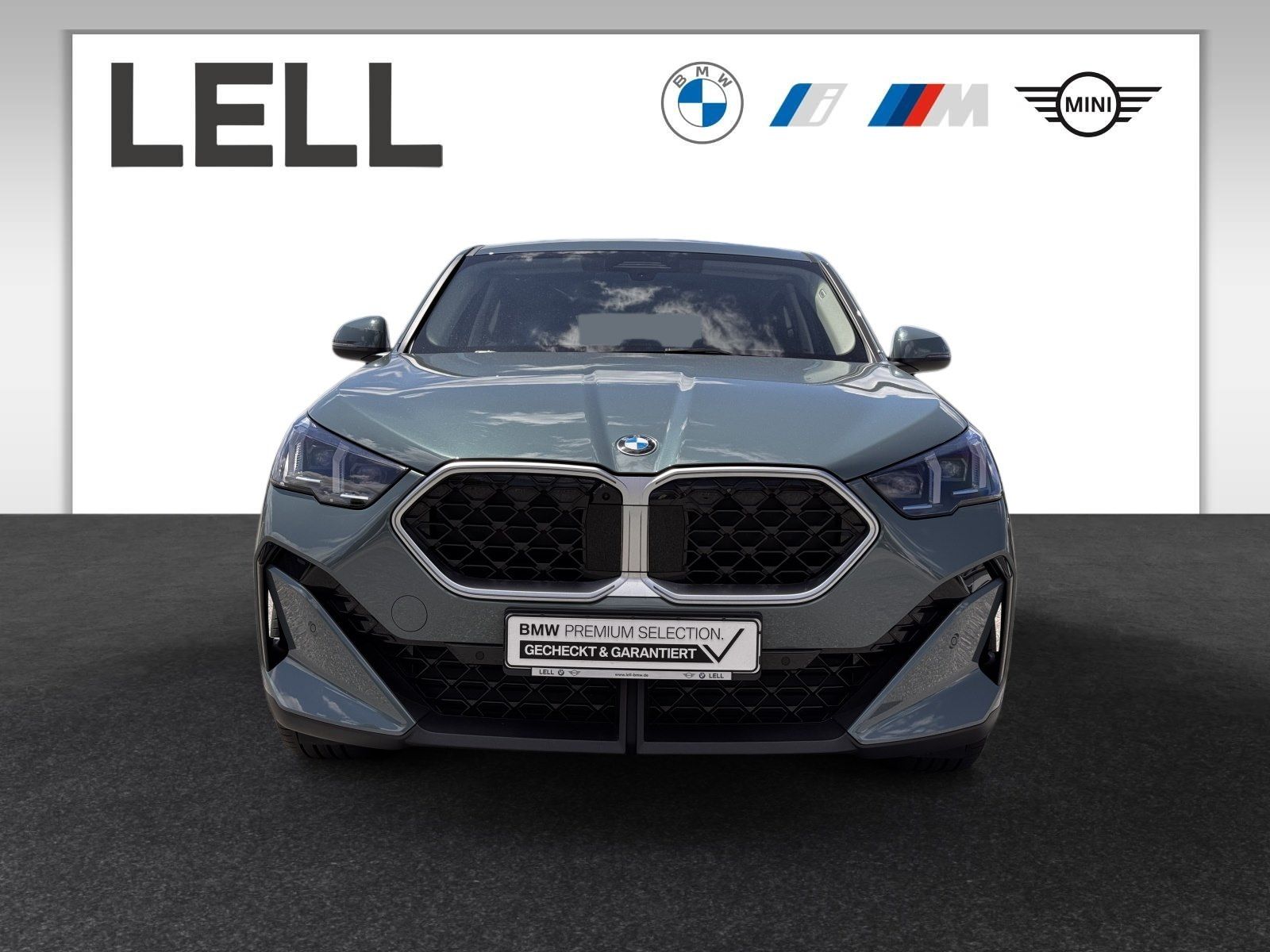 BMW X2 sDrive20d Head-Up AHK RFK Alarm foto 3