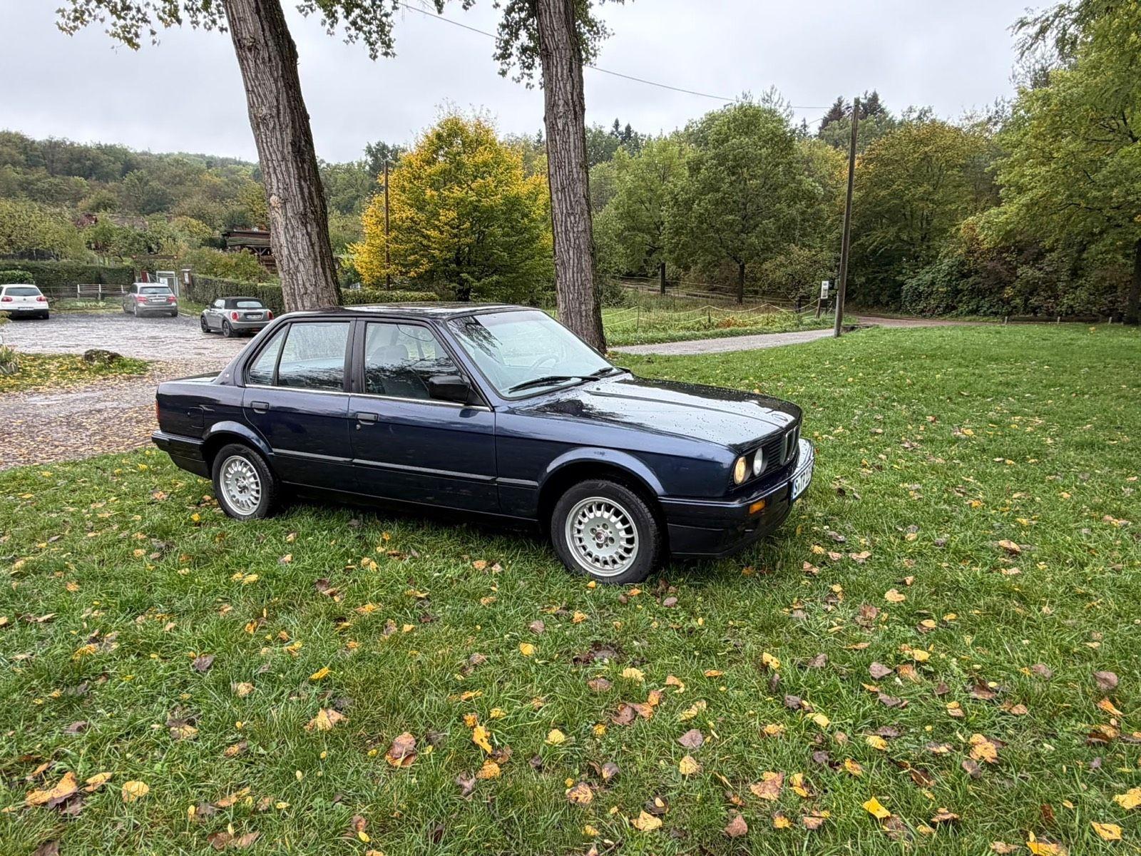 BMW 316