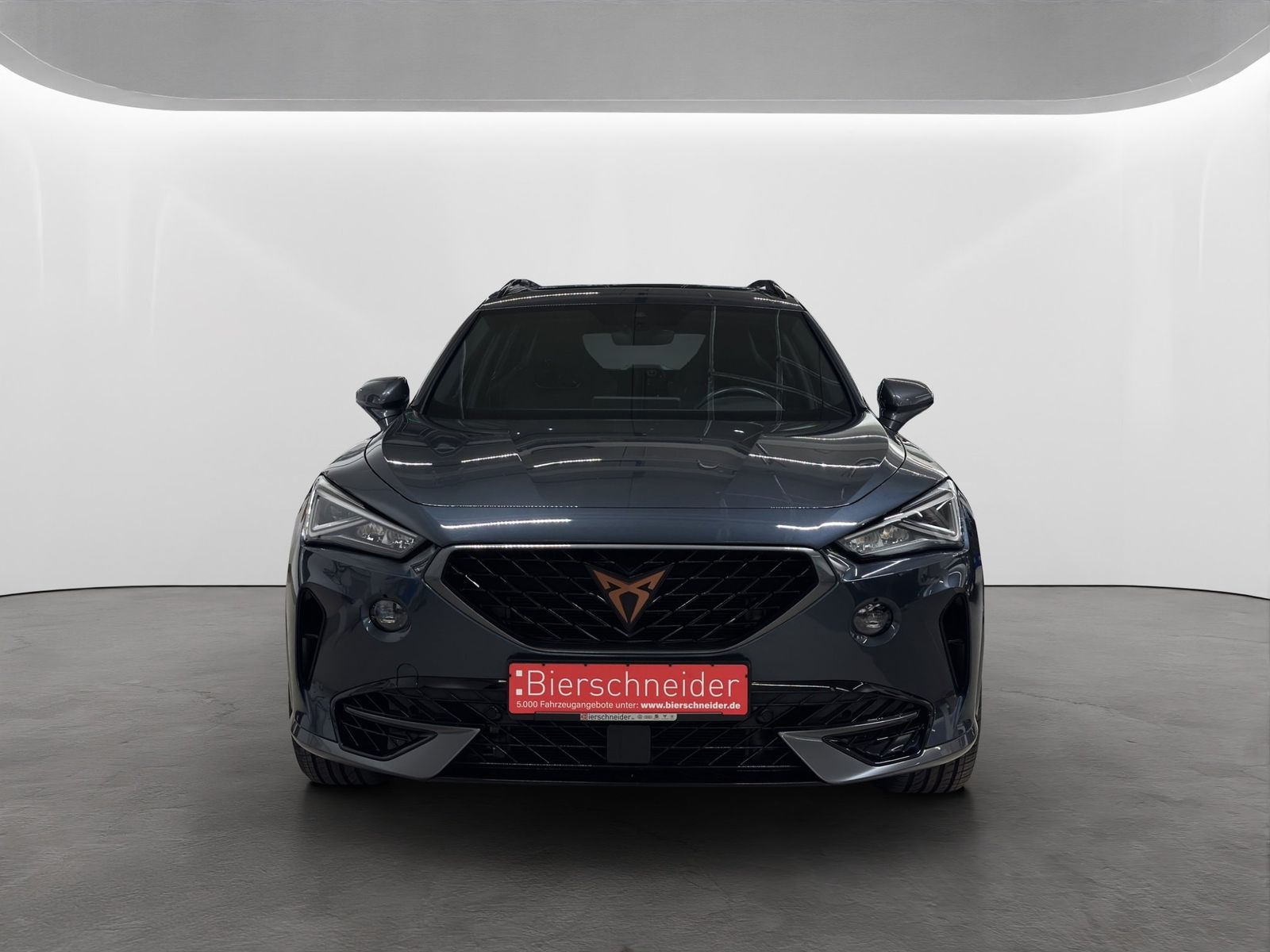 Cupra Formentor 2.0 TSI DSG 4Drive VZ LED NAVI PANO 19 imagem 3