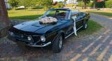 Ford Mustang Cabrio 1967 Top Zustand - Ford Mustang aus 1967 mit Benzin-Antrieb: Cabrio