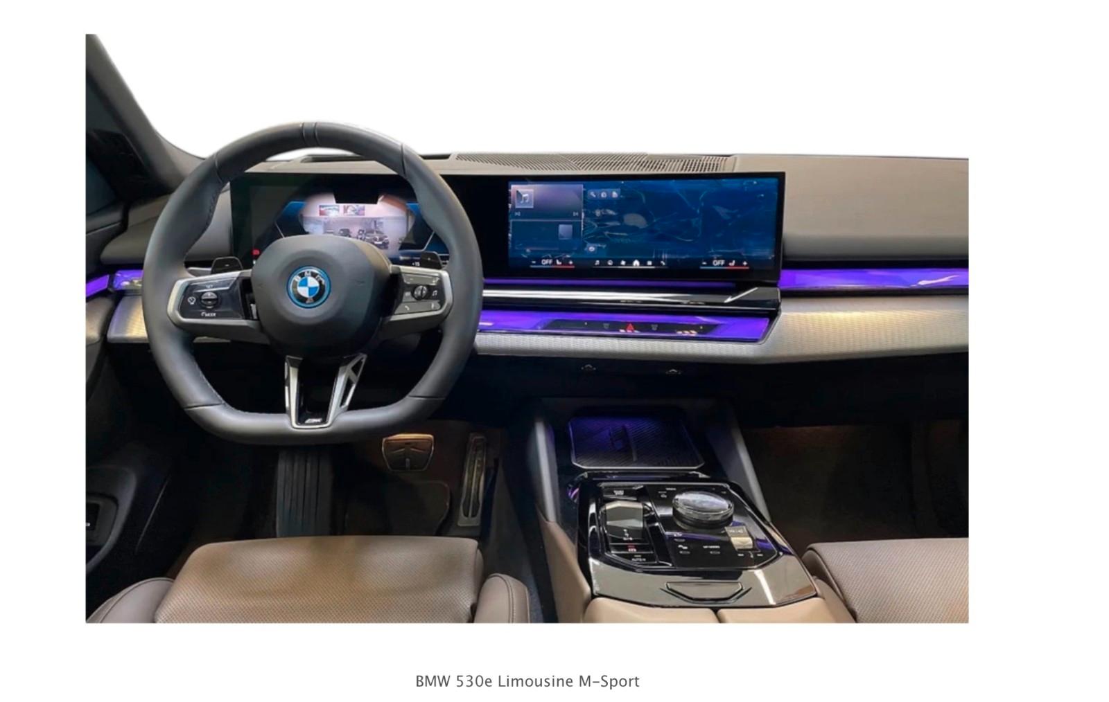 BMW 530e M Sport / PANO / AHK / HK / BRAUN LEDER
