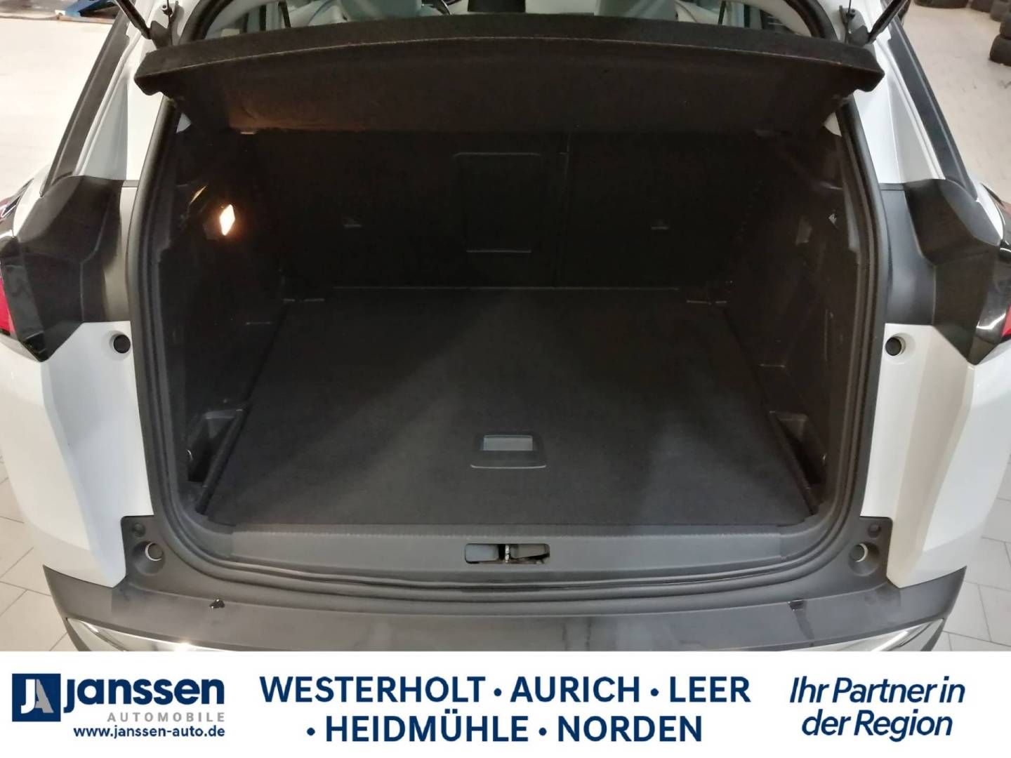 Fahrzeugabbildung Peugeot 3008 PureTech Stop & Start