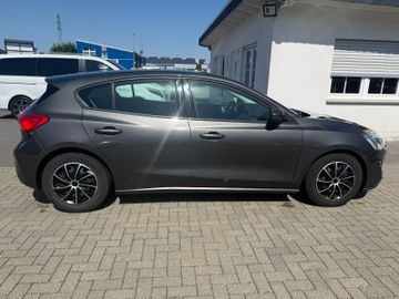 Ford Focus - 5